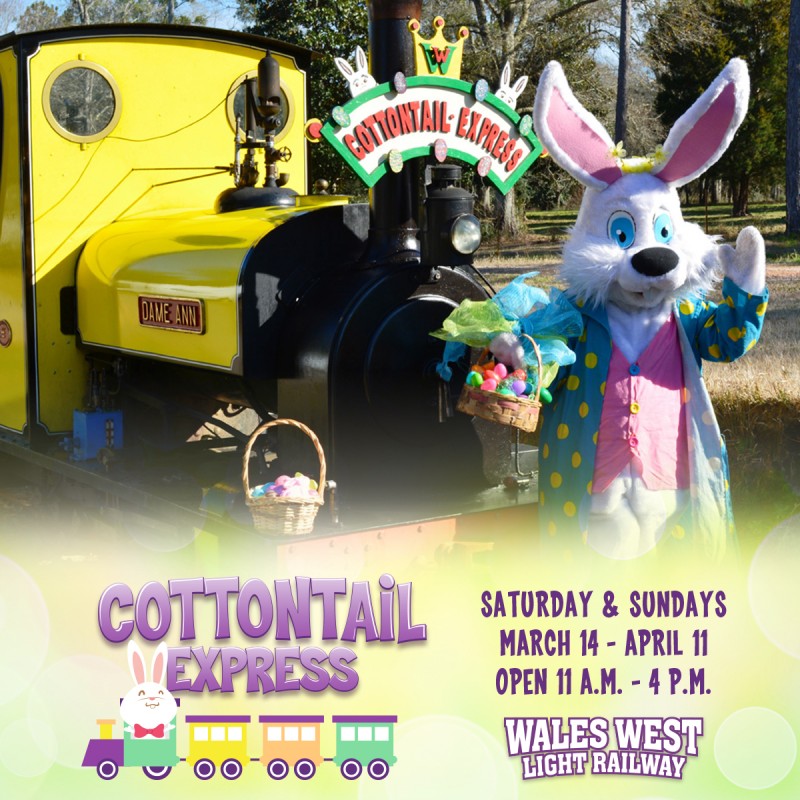 The Cottontail Express